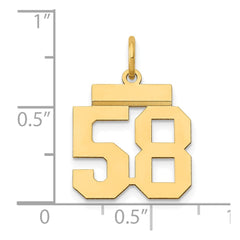 14k Small Polished Number 58 Charm - 2