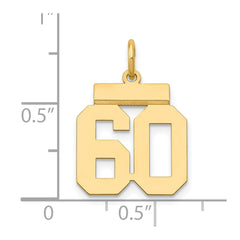 14k Small Polished Number 60 Charm