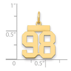 14k Small Polished Number 98 Charm