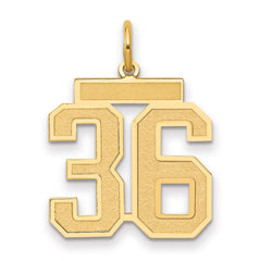 14k Medium Satin Number 36 Charm