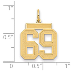 14k Medium Satin Number 69 Charm