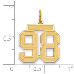 14k Medium Satin Number 98 Charm