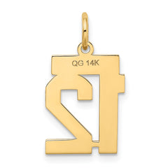 14k Small Satin Number 12 Charm