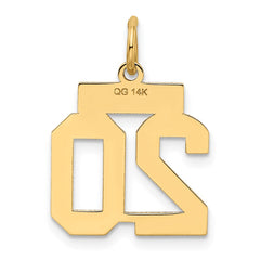 14k Small Satin Number 20 Charm