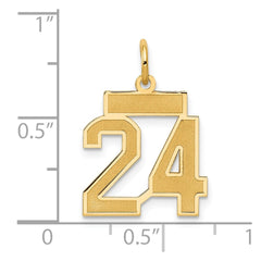 14k Small Satin Number 24 Charm