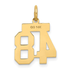 14k Small Satin Number 48 Charm