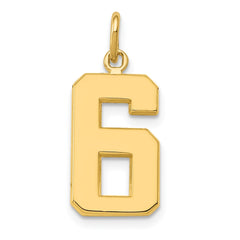 14k Medium Polished Number 6 Charm - 2