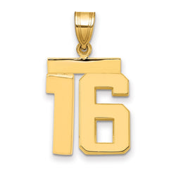 14k Medium Polished Number 16 Charm