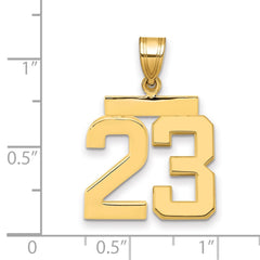 14k Medium Polished Number 23 Charm - 2