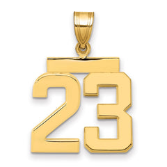 14k Medium Polished Number 23 Charm - 2