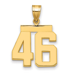 14k Medium Polished Number 46 Charm - 2