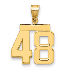 14k Medium Polished Number 48 Charm - 2