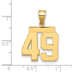 14k Medium Polished Number 49 Charm - 2