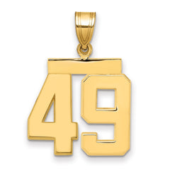 14k Medium Polished Number 49 Charm - 2