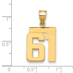14k Medium Polished Number 61 Charm - 2