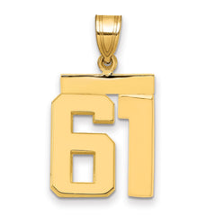 14k Medium Polished Number 61 Charm - 2