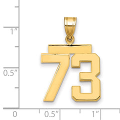14k Medium Polished Number 73 Charm - 2