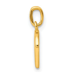 Sterling Silver Gold-tone Polished Letter D Initial Charm