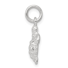 Sterling Silver Turtle Charm - 4