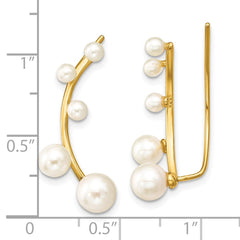 Sterling Silver Gold-tone Flash Gold-plated 3-6mm White Round Freshwater Cultured Pearl Ear Climber Earrings