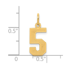 Sterling Silver/Gold-plated Satin Number 5 Charm