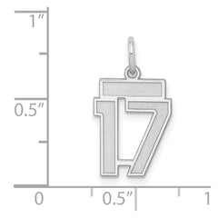 Sterling Silver/Rhodium-plated Satin Number 17 Charm - 4