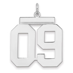 Sterling Silver/Rhodium-plated Polished Number 09 Charm