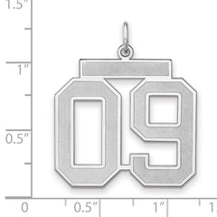 Sterling Silver/Rhodium-plated Satin Number 09 Charm