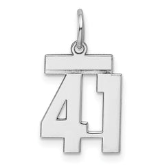 Sterling Silver/Rhodium-plated Polished Number 41 Charm - 3