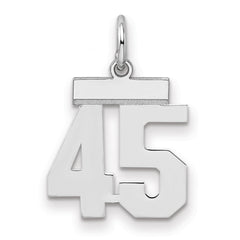 Sterling Silver/Rhodium-plated Polished Number 45 Charm - 2