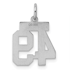 Sterling Silver/Rhodium-plated Polished Number 49 Charm - 3
