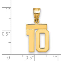 14k Small Polished Number 10 Charm - 2
