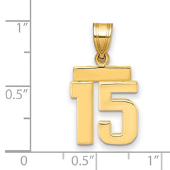14k Small Polished Number 15 Charm - 2