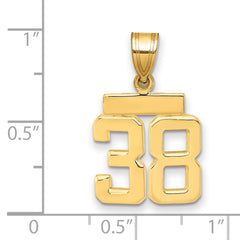 14k Small Polished Number 38 Charm - 2