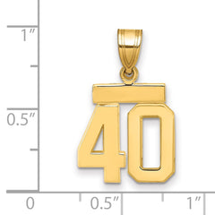 14k Small Polished Number 40 Charm - 2