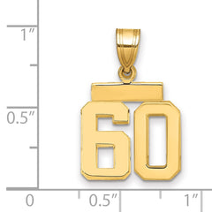14k Small Polished Number 60 Charm - 2