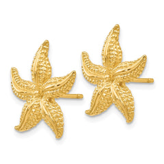 14k Starfish Post Earrings - 3