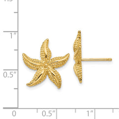 14k Starfish Post Earrings - 3