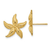 14k Starfish Post Earrings - 3