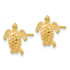 14k Sea Turtle Post Earring