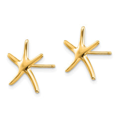 14k Starfish Post Earrings - 4