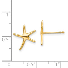 14k Starfish Post Earrings - 4