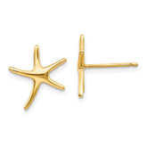 14k Starfish Post Earrings - 4