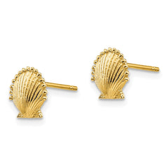 14k Scallop Shell Post Earrings - 2