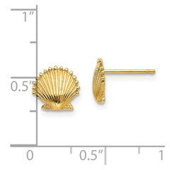 14k Scallop Shell Post Earrings - 2
