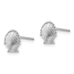 14K White Gold Scallop Shell Post Earrings