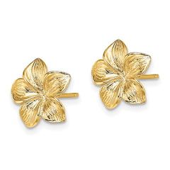 14K Plumeria Flower Post Earrings - 2