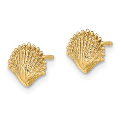 14K Scallop Shell Post Earrings - 3