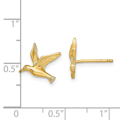 14K Polished Seagull Post Earrings