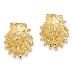 14K Lion's Paw Shell Post Earrings - 2